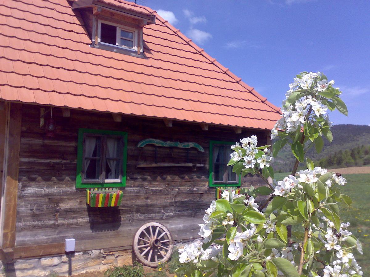 Apartments Sekler Rudno الغرفة الصورة